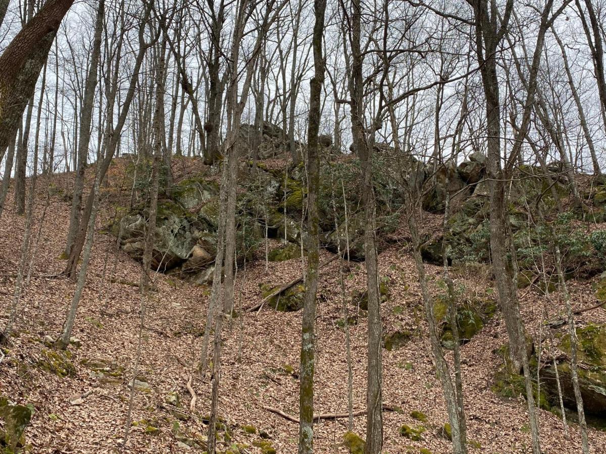 Pine Mountain Inn Pineville Luaran gambar