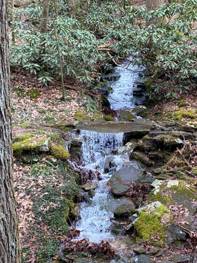 Pine Mountain Inn Pineville Luaran gambar
