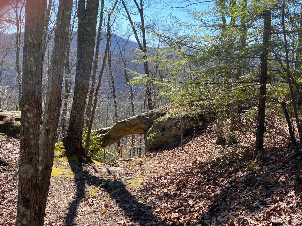 Pine Mountain Inn Pineville Luaran gambar